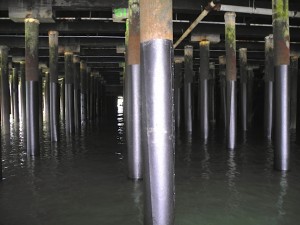 Wrapped pilings Squamish, BC for Herring Rescue project. Protecting herring eggs from creosote poisononing 